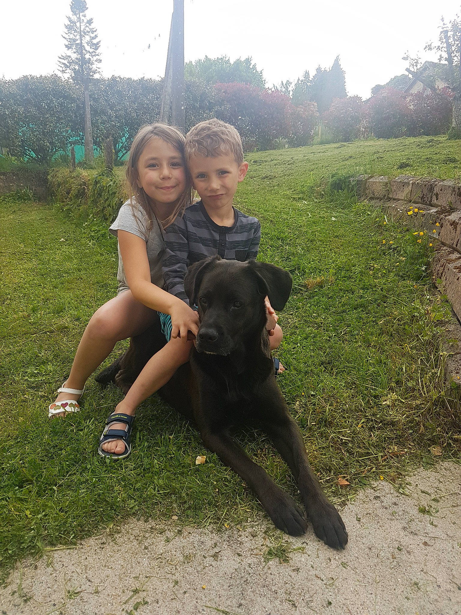 Dina a rejoint le concours — aidez-le/la à gagner de superbes lots ! cane_corso, dog, dog_breed, dog_breed_group, dog_like_mammal, dog_walking, grass, guard_dog, joy, labrador_retriever, mammal, patterdale_terrier, person, sporting_group, tree, vertebrate