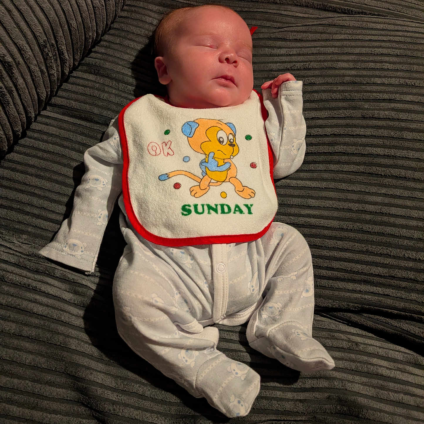 Ronay joined the competition — help win amazing prizes! animal, applique, baby, bib, blanket, canine, couch, cushion, dog, face, furniture, head, homedecor, newborn, pattern, person, pet, photography, portrait, sleeping
