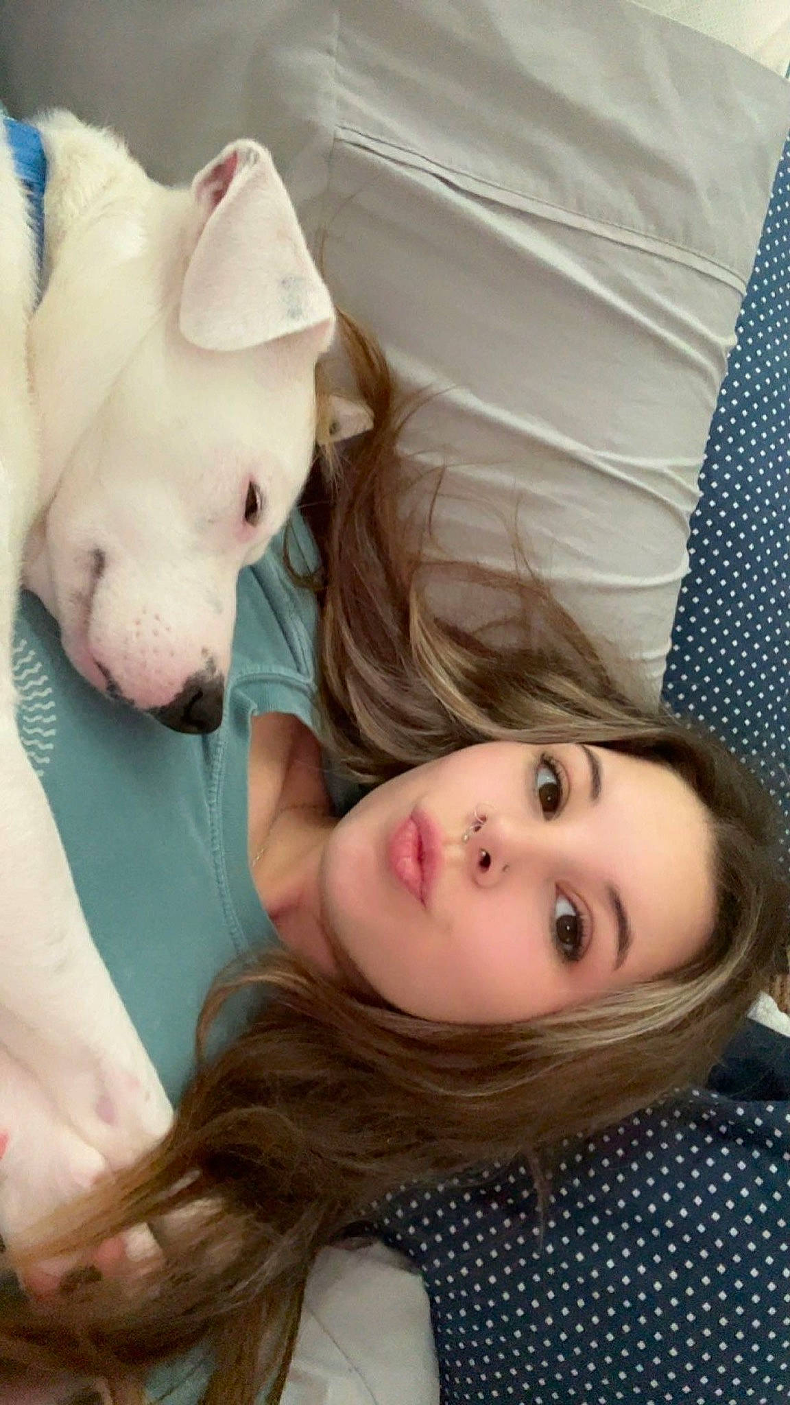 Luke joined the competition — help win amazing prizes! carnivore, cheek, child, comfort, companion_dog, dog, dog_breed, fun, happy, head, mouth, nose, organ, paw, skin, smile, toddler, tree, whiskers, white