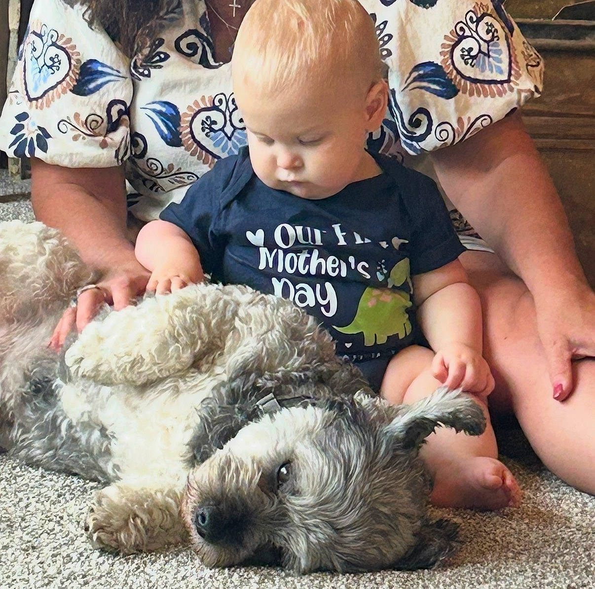 Shadow Shades is registered to the contest to win money with this photo: adult, animal, baby, carpet, child, comfort, cuddling, cute, dinosaur, dog, family, floor, fur, hand, indoor, person, petting, relaxed, shirt, sitting