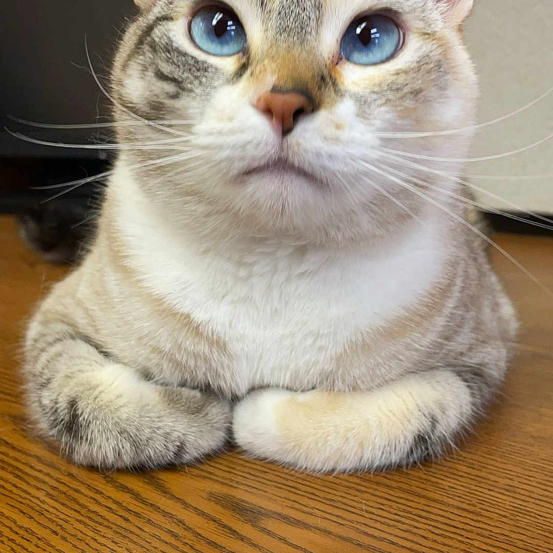 Marble