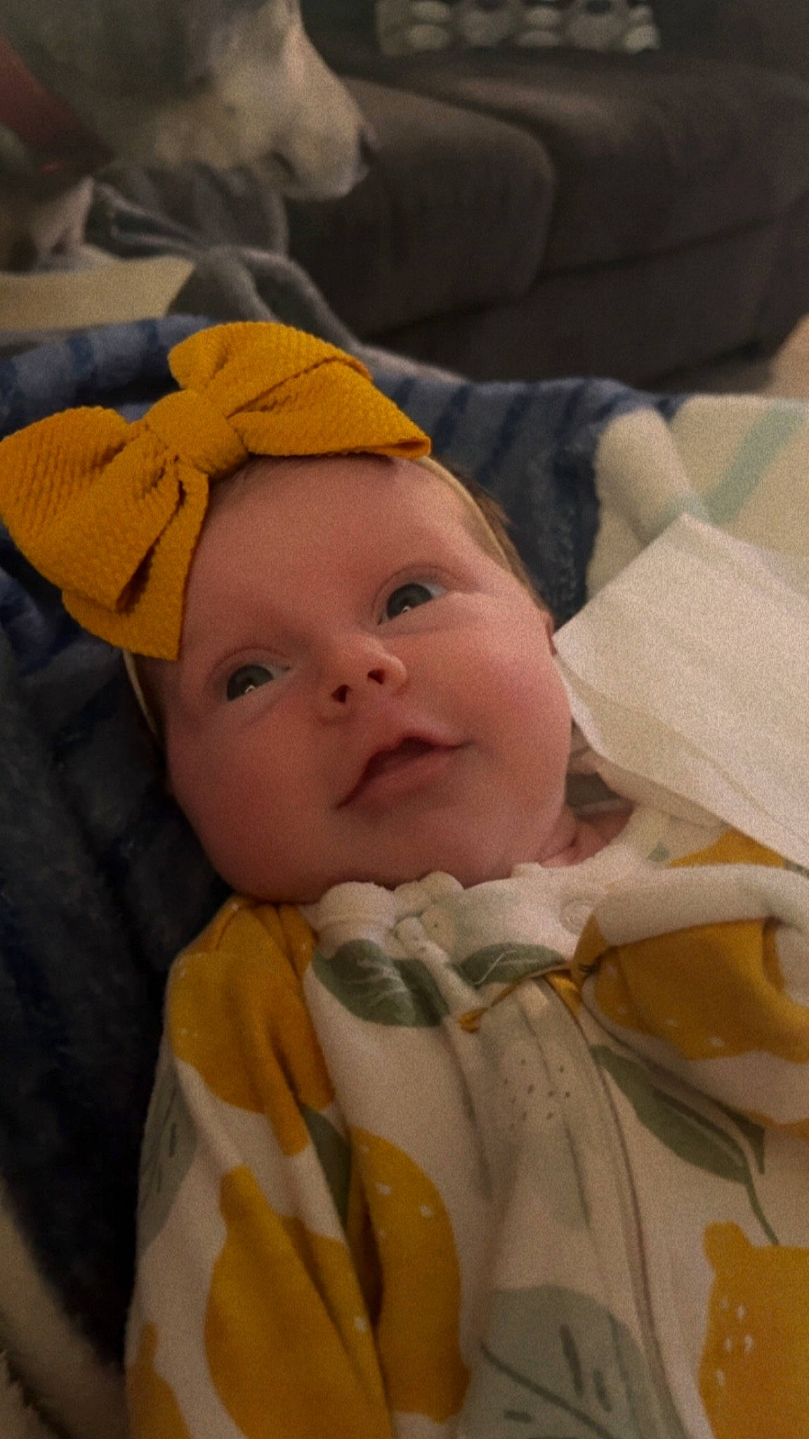 Stella is registered to the contest to win money with this photo: baby, baby_products, baby_toddler_clothing, cheek, child, comfort, eyebrow, happy, hat, headgear, headwear, linens, person, smile, toddler, wrinkle