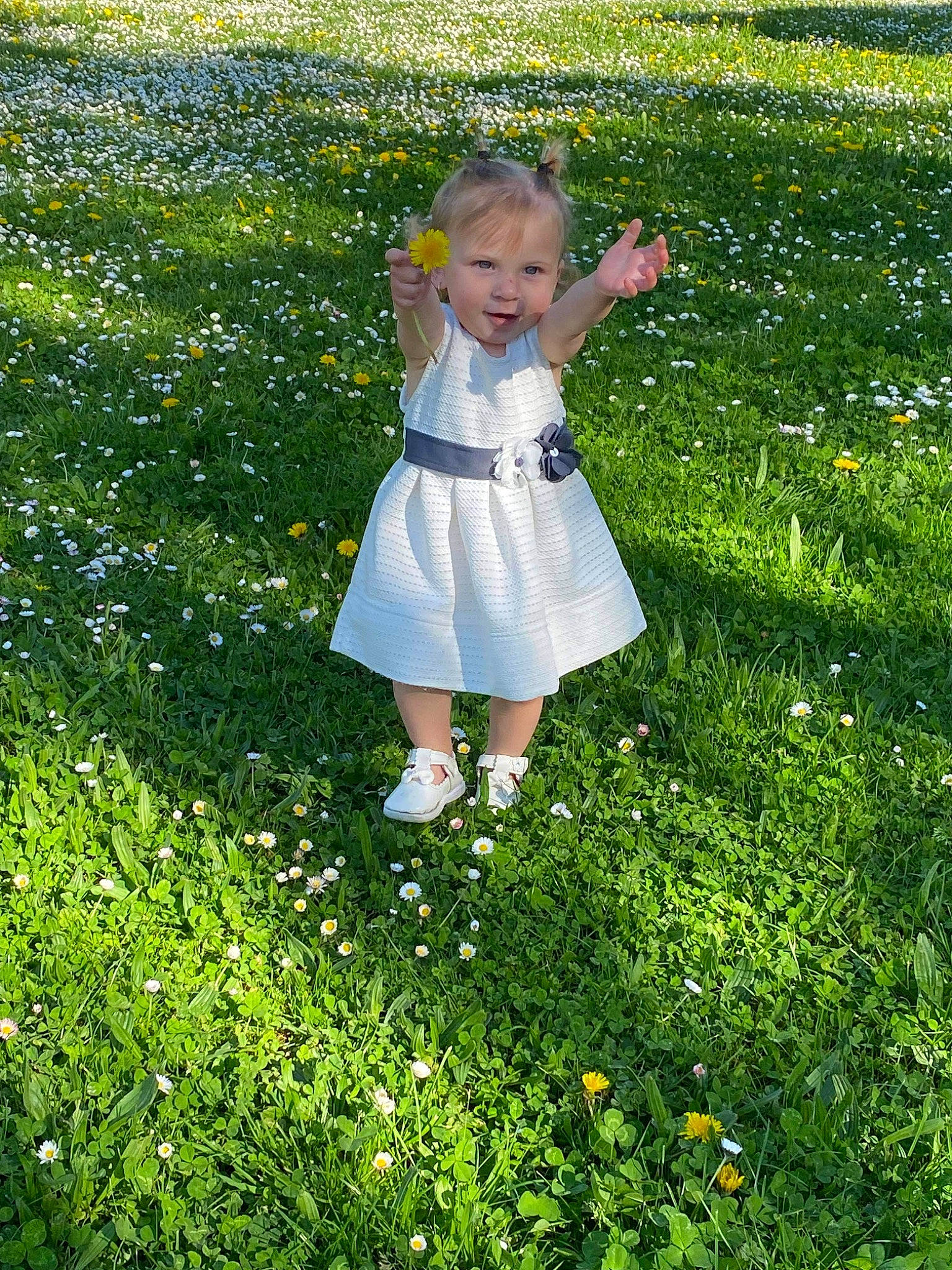 Jade a rejoint le concours — aidez-le/la à gagner de superbes lots ! baby_toddler_clothing, botany, child, flower, garden, grass, grass_family, grassland, green, groundcover, happy, lawn, meadow, natural_environment, pattern, people_in_nature, person, plant, shrub, toddler
