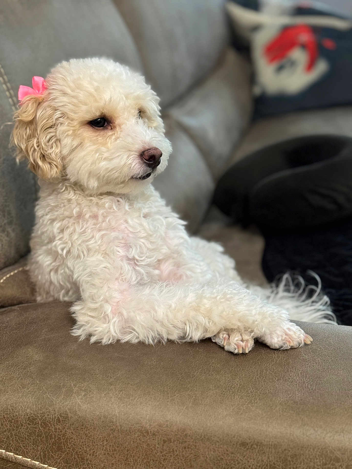 Bella