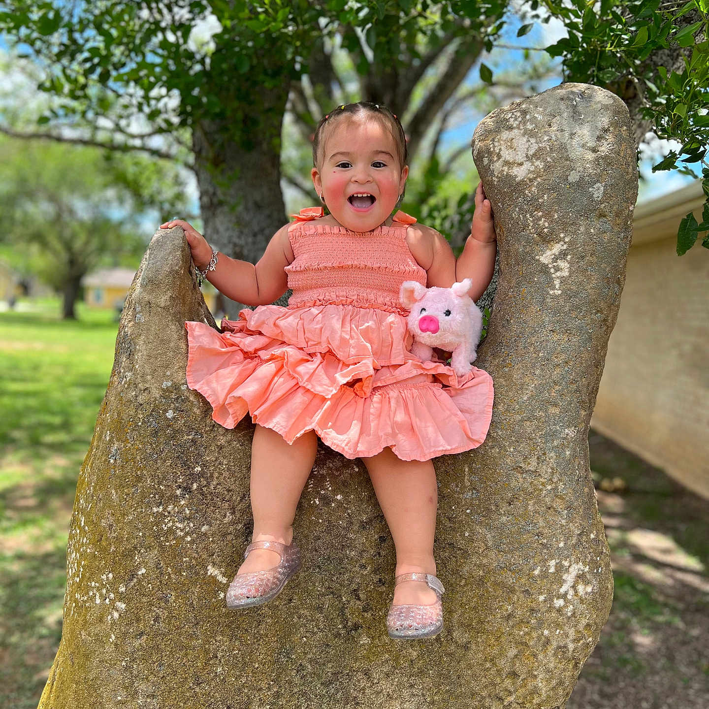 Rae Chelle joined the competition — help win amazing prizes! bracelet, child, daylight, dress, footwear, grass, happy, nature, outdoor, park, pig, pink, playful, plush_toy, portrait, rock, smiling, sunlight, toddler, tree