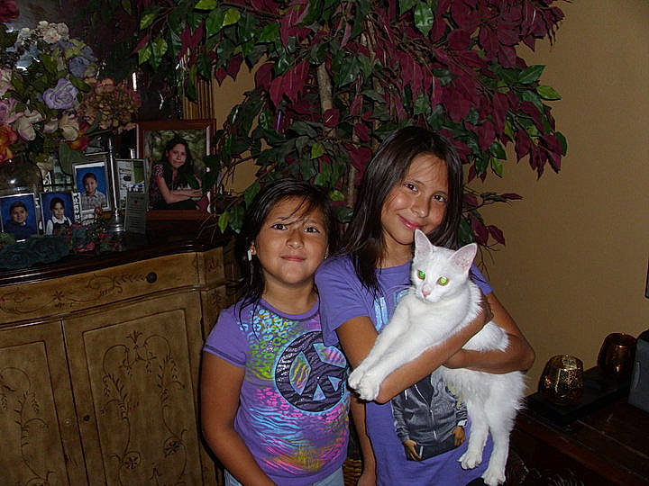 Bella joined the competition — help win amazing prizes! carnivore, cat, child, companion_dog, event, fawn, felidae, fun, fur, happy, iris, lap, leisure, plant, room, sitting, small_to_medium_sized_cats, smile, t_shirt, toy