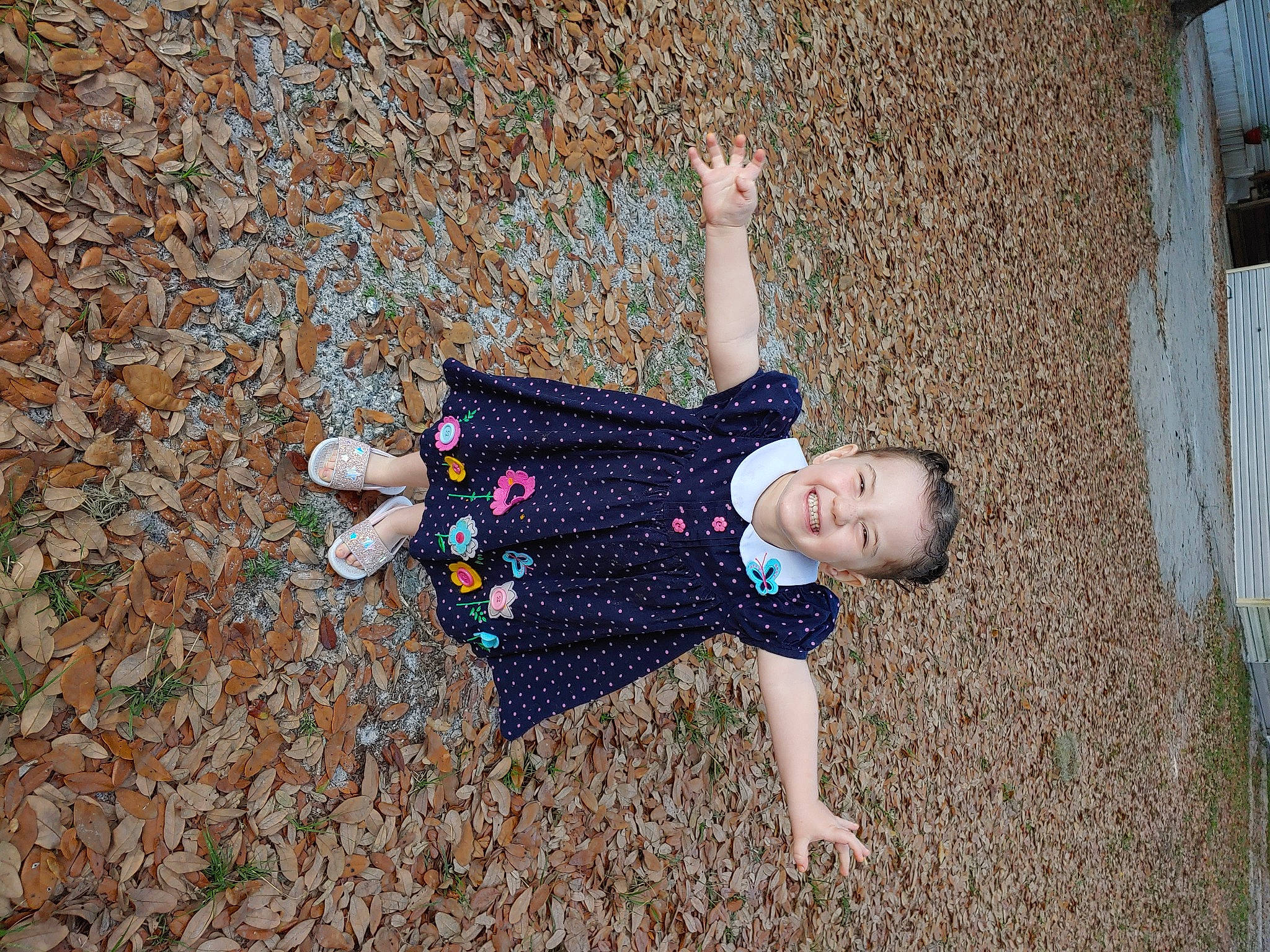 Ruby joined the competition — help win amazing prizes! child, fun, joy, person, plant, toddler, tree, vacation