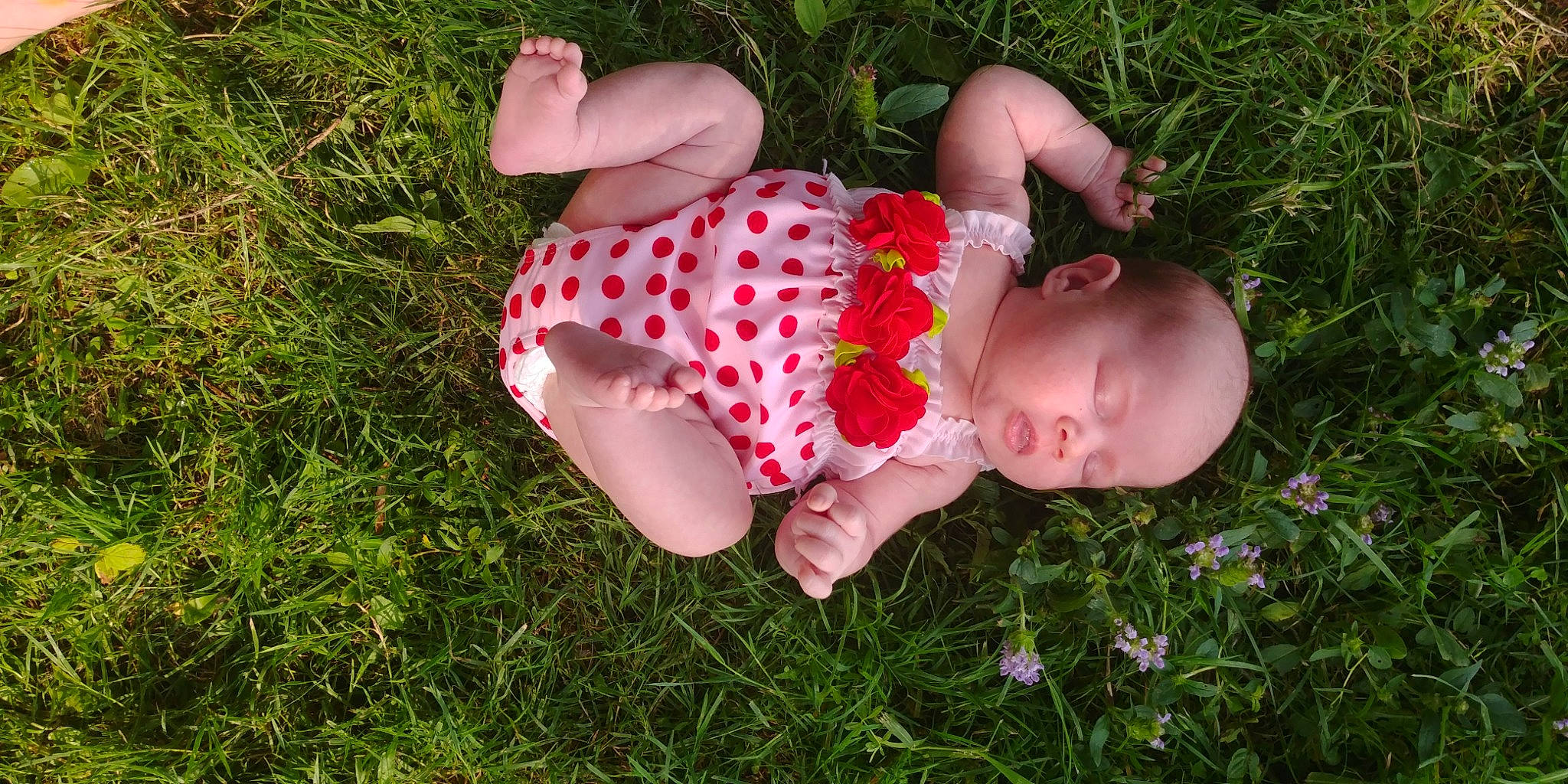 Éliane participe au concours pour gagner de l'argent avec cette photo : baby, baby_toddler_clothing, fawn, flower, fun, grass, grassland, groundcover, happy, lawn, meadow, pattern, people_in_nature, person, petal, pink, plant, prairie, terrestrial_plant, toddler