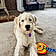 Jake