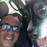 Mike is registered to the contest to win money with this photo: black_dog, car_interior, casual, close_up, companion, dog, glasses, happy, indoors, man, pet, portrait, reflection, seat, seatbelt, selfie, smile, tongue_out, white_markings, window