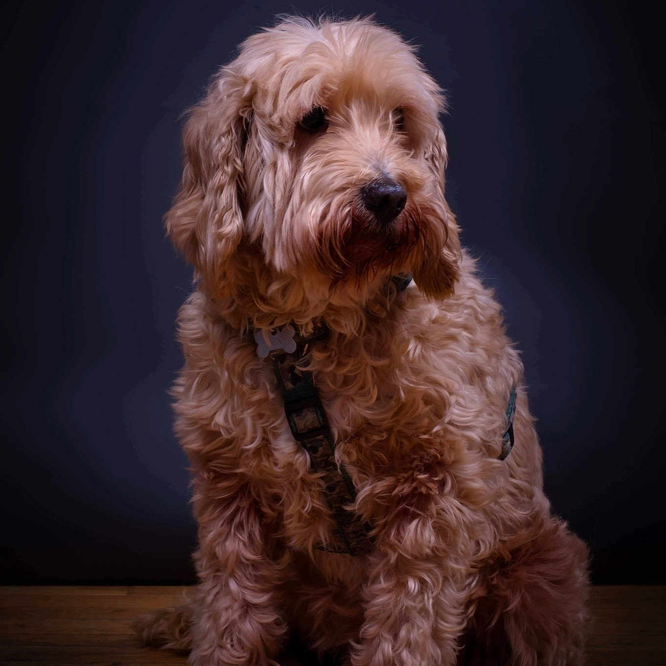Ben