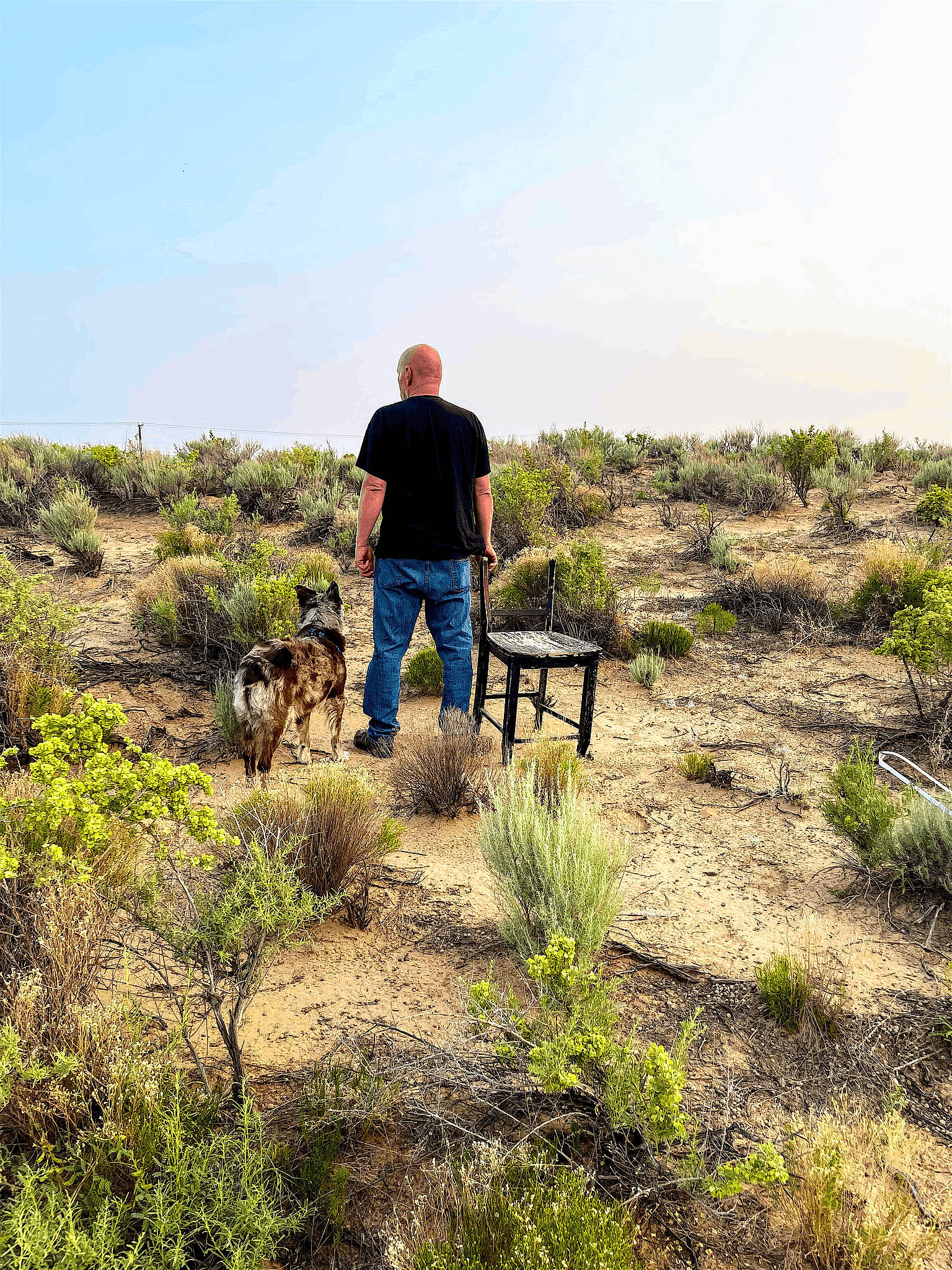 Jake joined the competition — help win amazing prizes! agriculture, carnivore, cloud, dog, ecoregion, grass, grassland, hill, landscape, leisure, luggage_and_bags, natural_landscape, people_in_nature, plant, prairie, recreation, shrub, sky, soil, trail