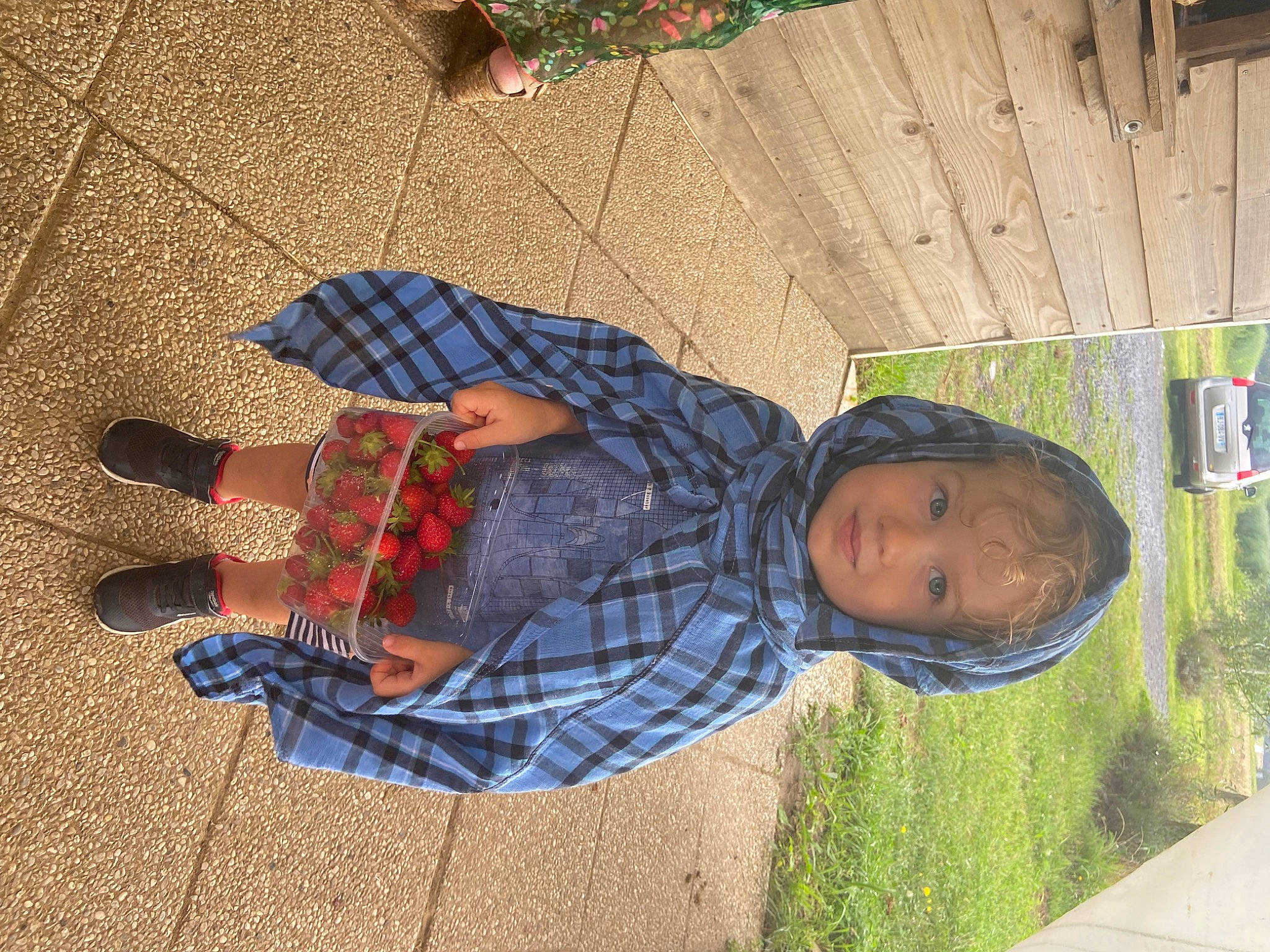 Anatole participe au concours pour gagner de l'argent avec cette photo : child, flooring, fun, grass, human_leg, leisure, pattern, person, plaid, plant, shadow, sitting, tartan, tints_and_shades, toddler, tree, wood