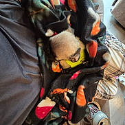 Sophie joined the competition — help win amazing prizes! blanket, can, casual, colorful, cozy, dog, dr_pepper, floor, indoor, patterned_blanket, paw, person, plaid_pants, plush_toy, relaxing, resting, seated, small_dog, snuggled, soft