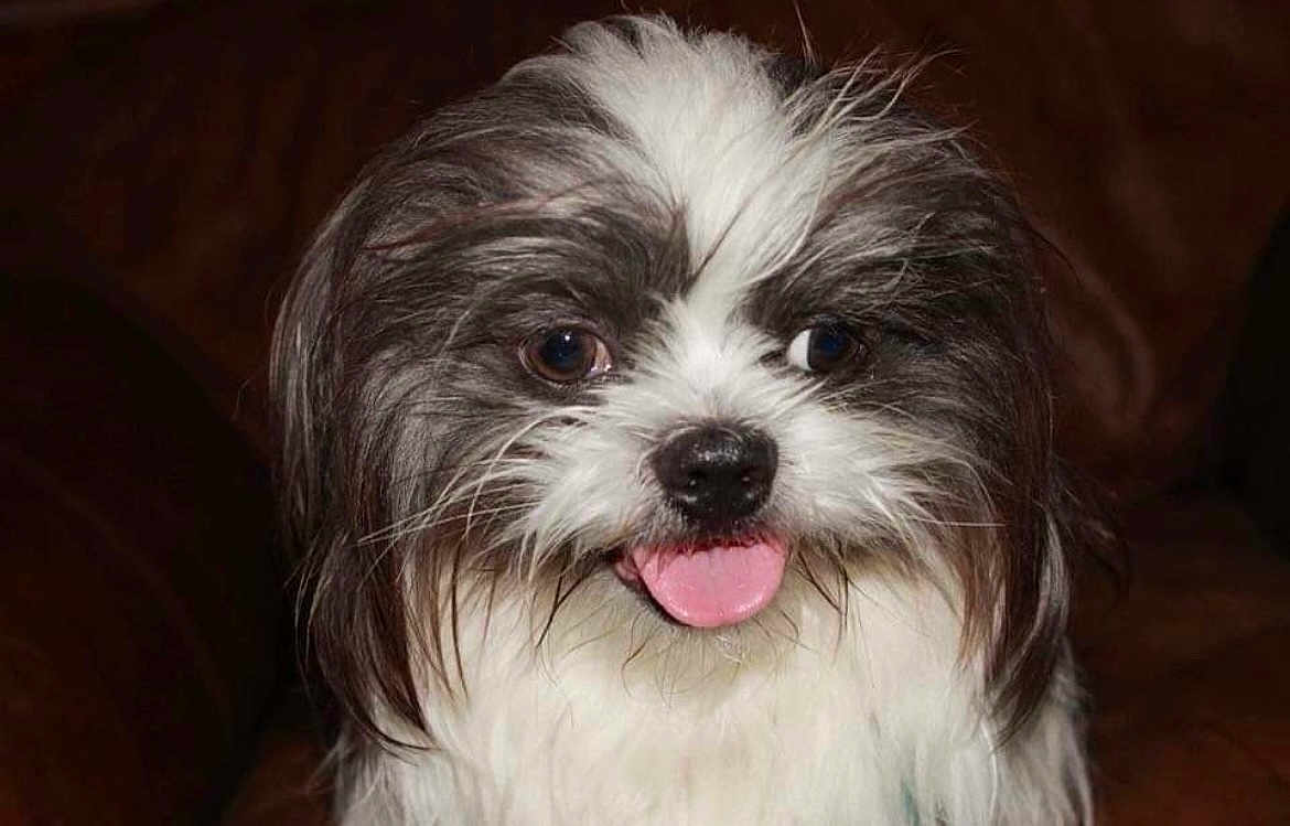 Remington