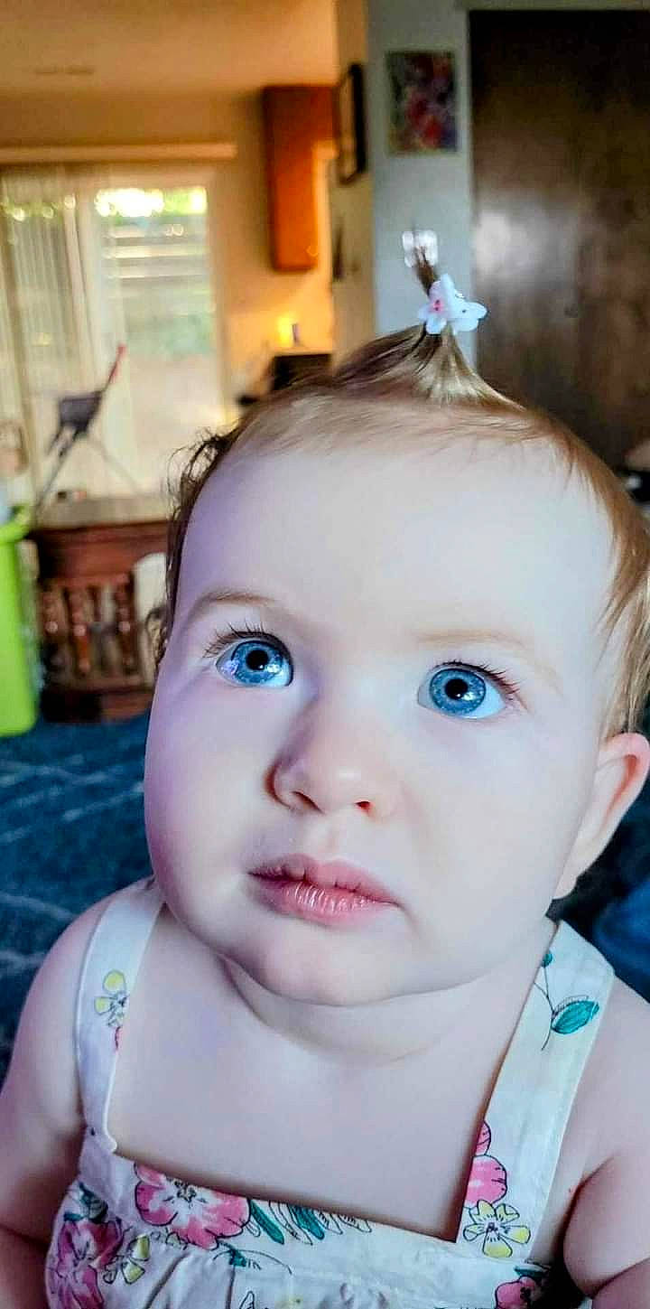 Aurelia