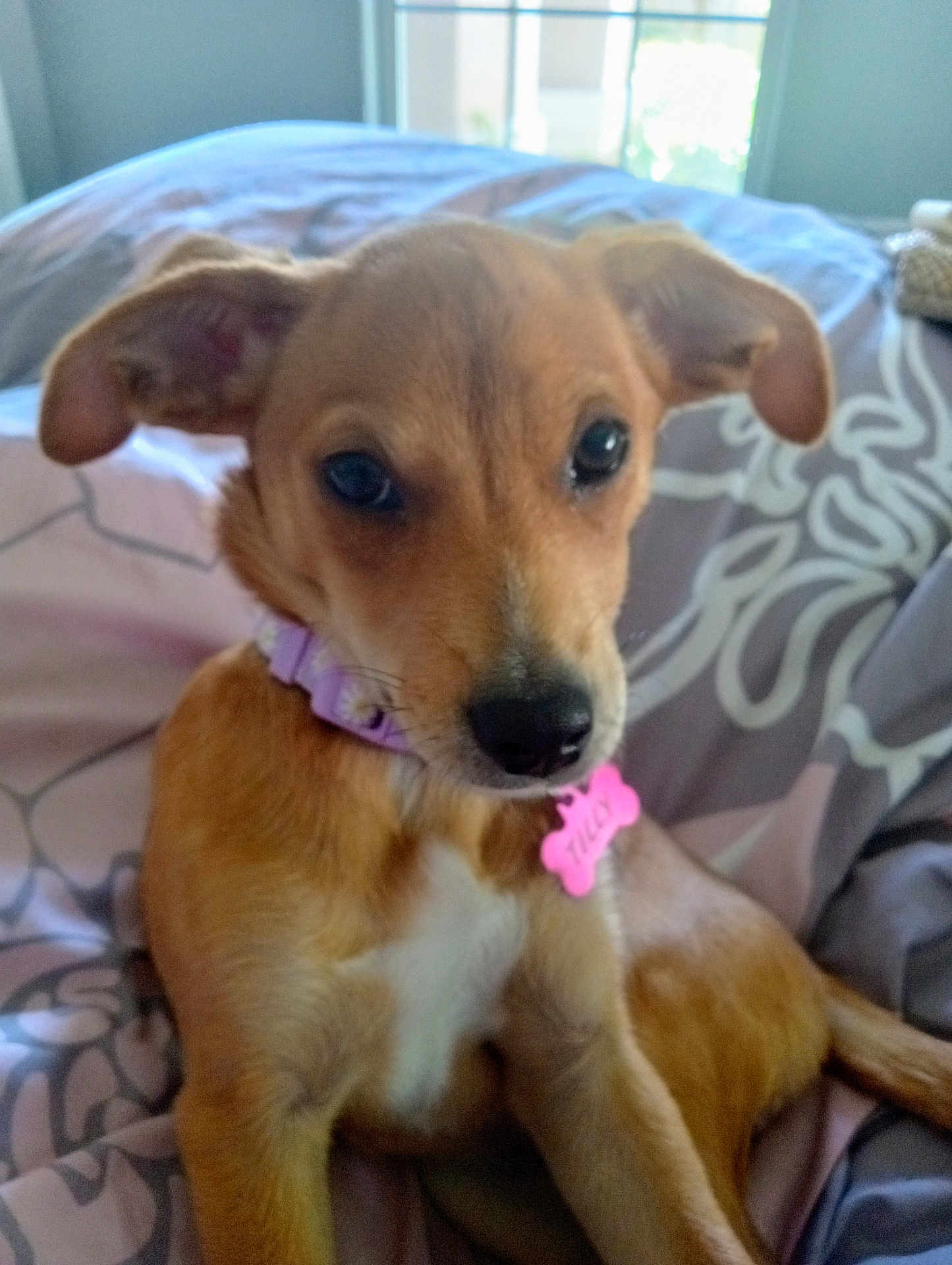 Tilly