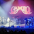 Cammie E.