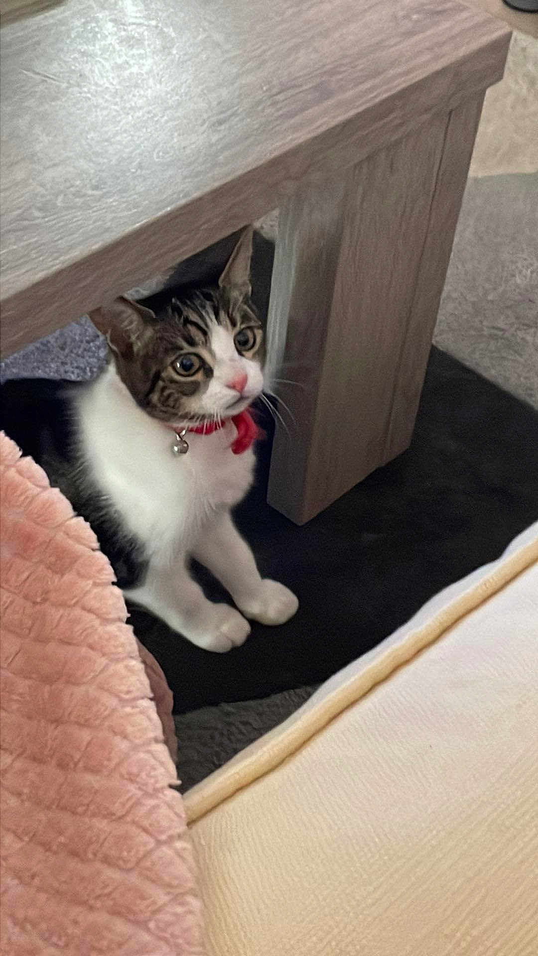 Lilou