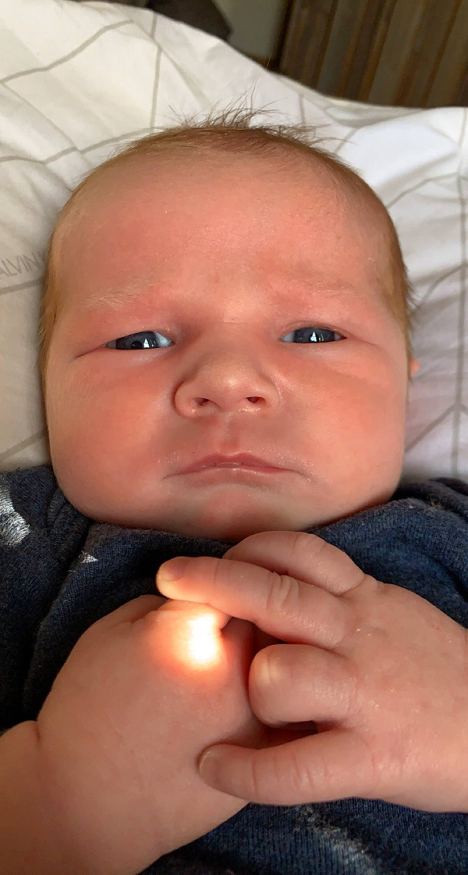 Augustus is registered to the contest to win money with this photo: abdomen, baby, cheek, chest, comfort, ear, eyelash, finger, gesture, hand, happy, lip, mouth, nail, neck, nose, person, skin, smile, thumb