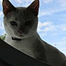 Crevette participe au concours pour gagner de l'argent avec cette photo :