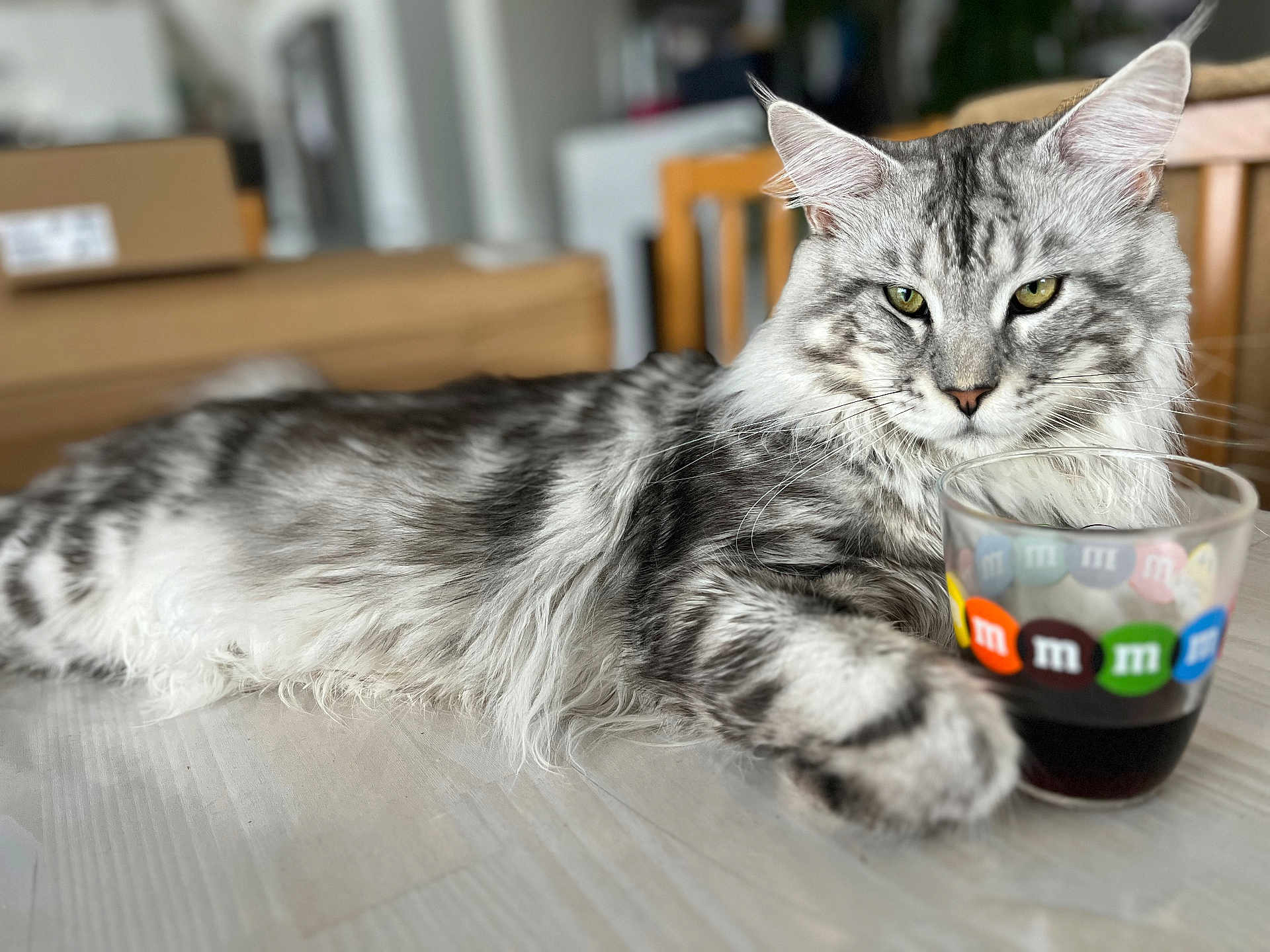 Zeus