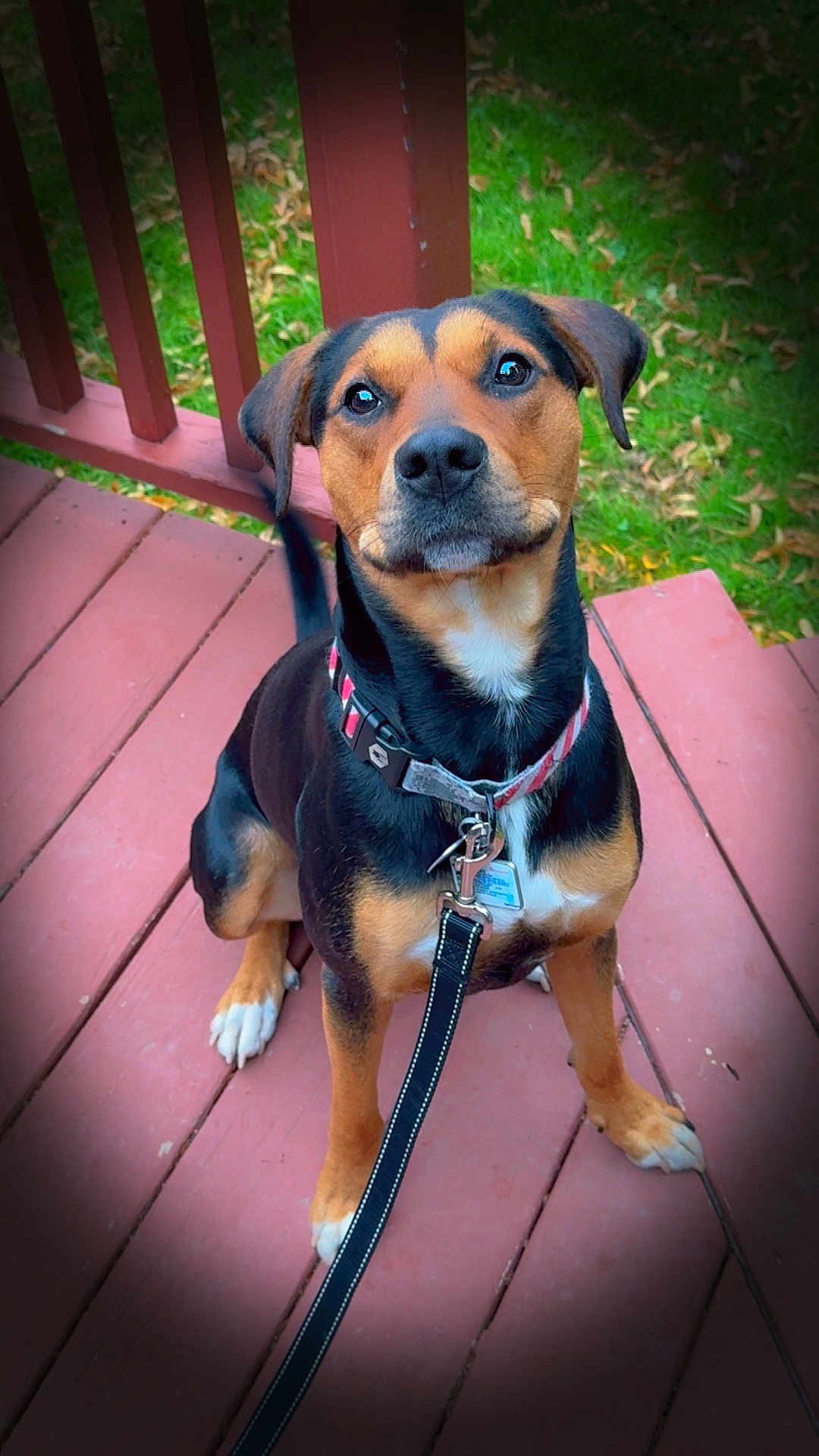 Vinnie