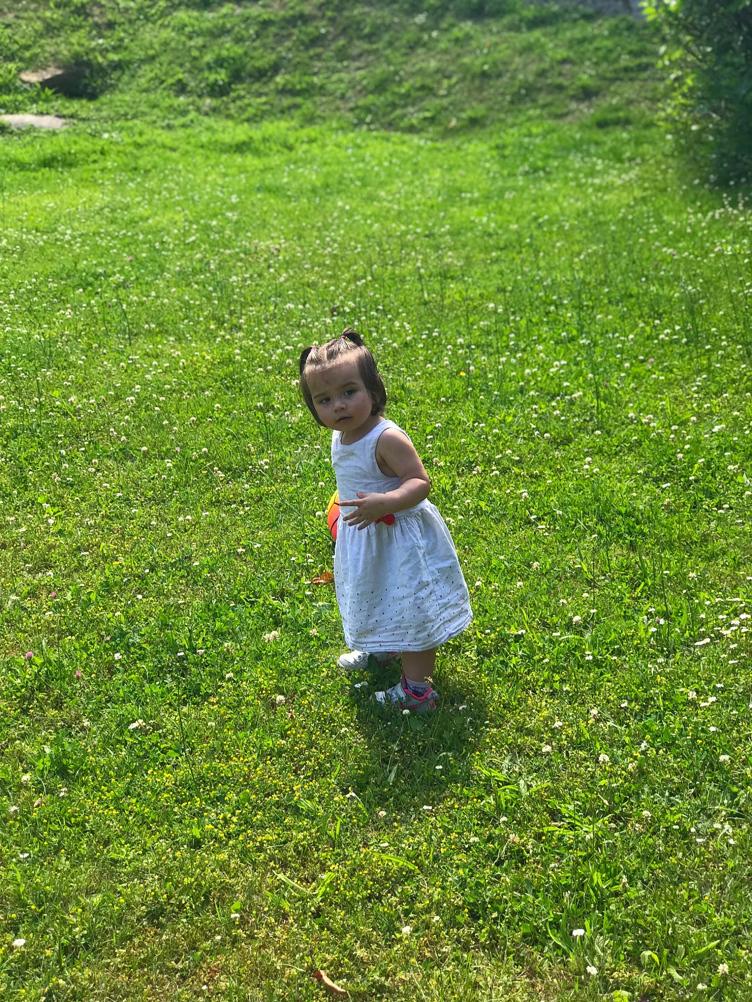 Kelyana participe au concours pour gagner de l'argent avec cette photo : dress, ecoregion, fun, grass, grass_family, grassland, groundcover, landscape, lawn, leaf, leisure, mammal, meadow, natural_landscape, people_in_nature, person, plant, shrub, terrestrial_plant, toddler