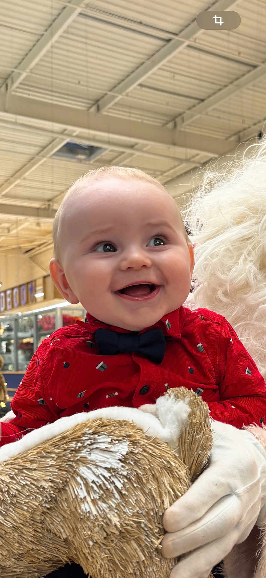 Milo a rejoint le concours — aidez-le/la à gagner de superbes lots ! baby, child, smiling, red_shirt, bow_tie, indoor, holiday, decoration, reindeer, person, white_gloves, festive, happy, cute, face, portrait, holding, toy, christmas, celebration