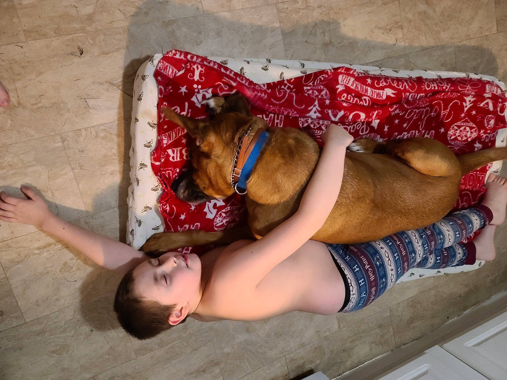 Blaize joined the competition — help win amazing prizes! abdomen, arm, brassiere, chest, elbow, finger, foot, hand, human_leg, joint, knee, leg, long_hair, person, stomach, sunglasses, textile, thigh, trunk, waist