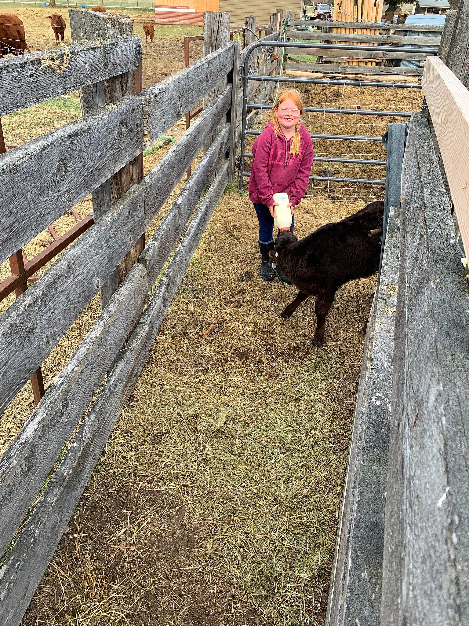 Brooke joined the competition — help win amazing prizes! agriculture, asphalt, canidae, dog_breed, farm, fence, fun, fur, grass, joy, landscape, livestock, people_in_nature, person, road_surface, shadow, soil, split_rail_fence, sporting_group, tail