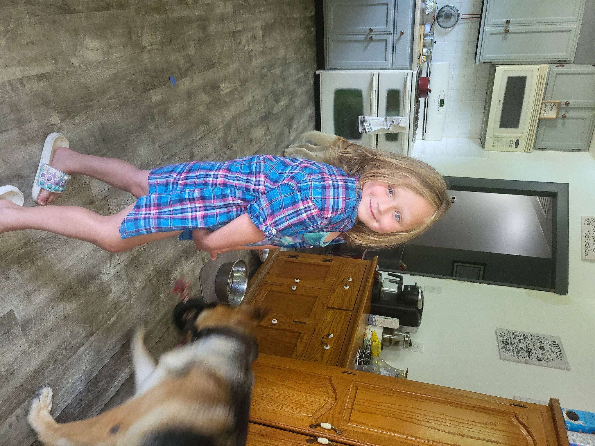 Paisley is registered to the contest to win money with this photo: cabinetry, carnivore, comfort, companion_dog, dog, dog_breed, fawn, flooring, fun, fur, hardwood, home_appliance, human_leg, joy, machine, mammal, person, room, shelf, smile