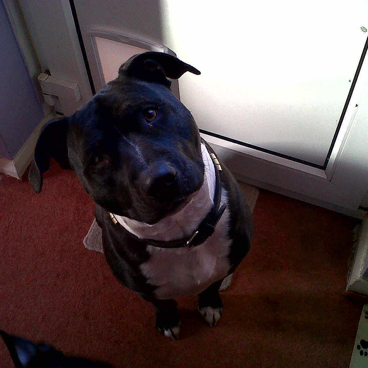 Tyson