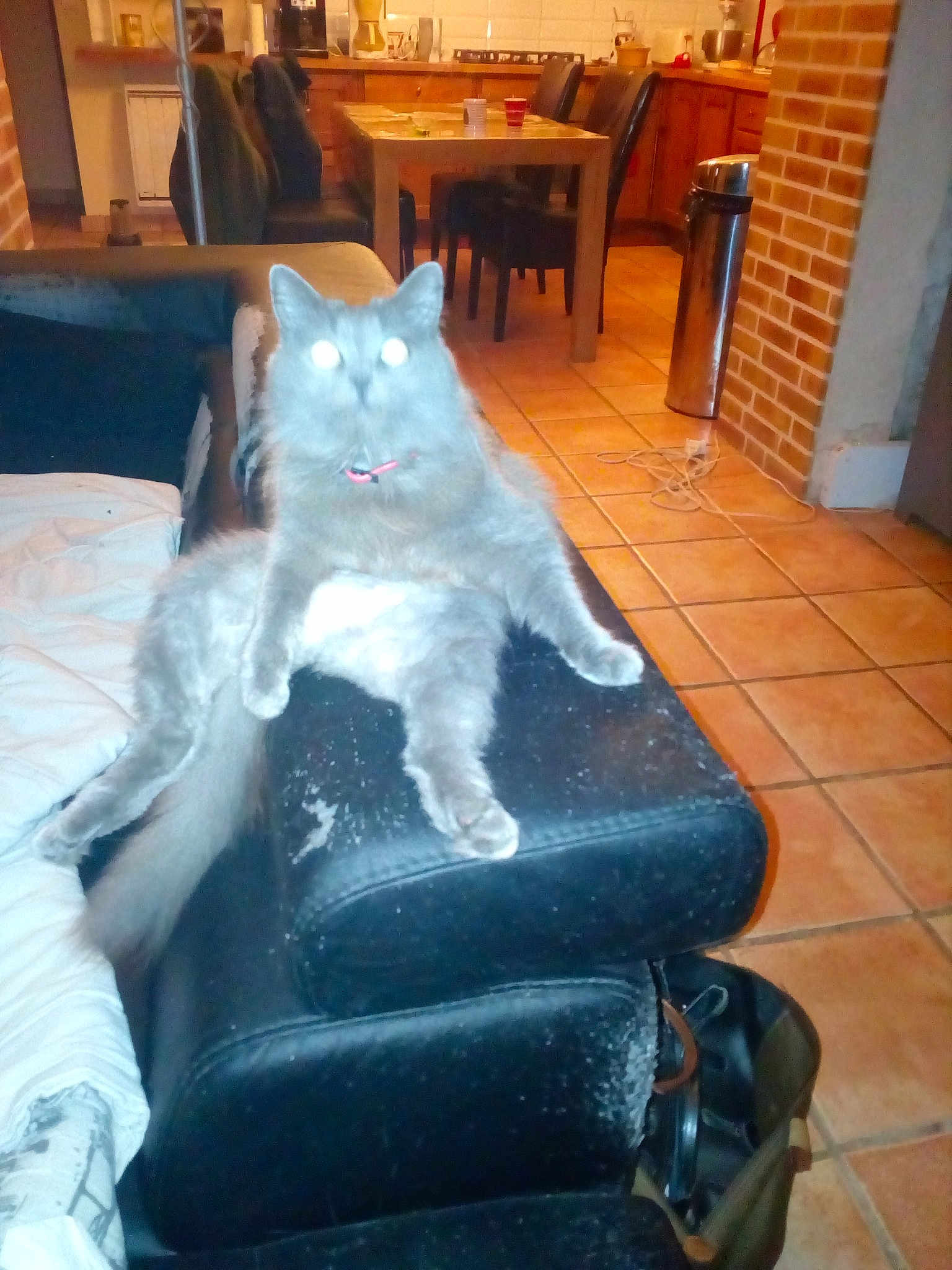 Lili