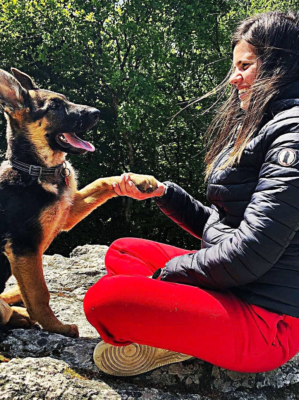 Bella a rejoint le concours — aidez-le/la à gagner de superbes lots ! bag, boot, carnivore, companion_dog, dog, eyewear, fashion_accessory, fawn, fun, gesture, grass, happy, human_leg, knee, leisure, luggage_and_bags, people_in_nature, shoe, sitting, thigh