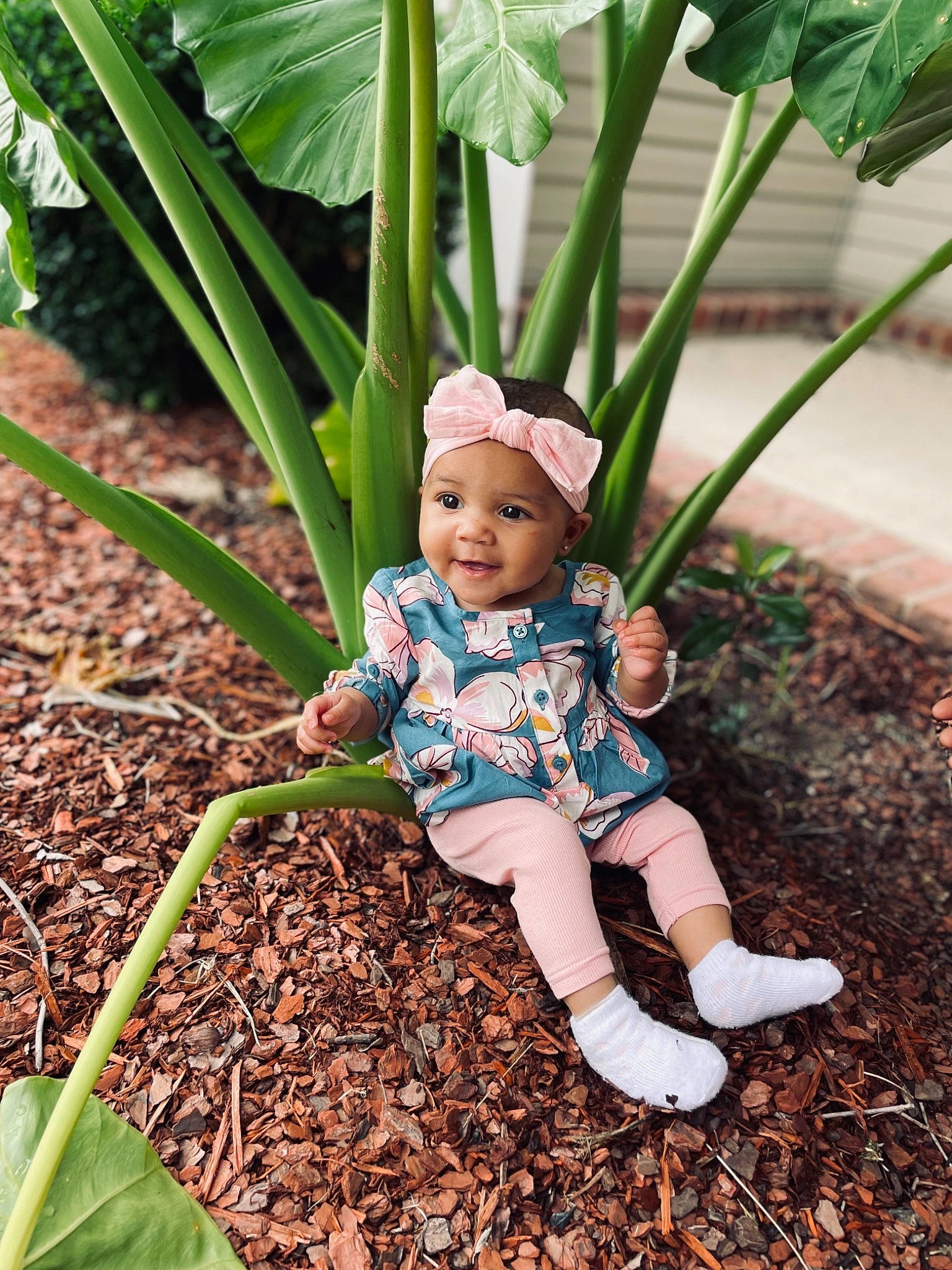 Lenox is registered to the contest to win money with this photo: adaptation, baby, child, eye, flowering_plant, garden, grass, grass_family, happy, head, headwear, joy, landscape, nature, people_in_nature, person, plant, plant_stem, smile, soil