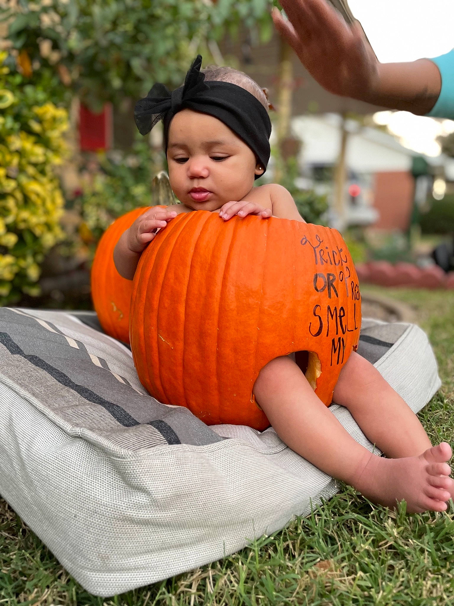 Lenox is registered to the contest to win money with this photo: calabaza, child, cucurbita, dress, face, fruit, gourd, grass, hand, happy, head, headwear, leisure, natural_foods, orange, people_in_nature, person, plant, pumpkin, squash
