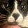 Mittens