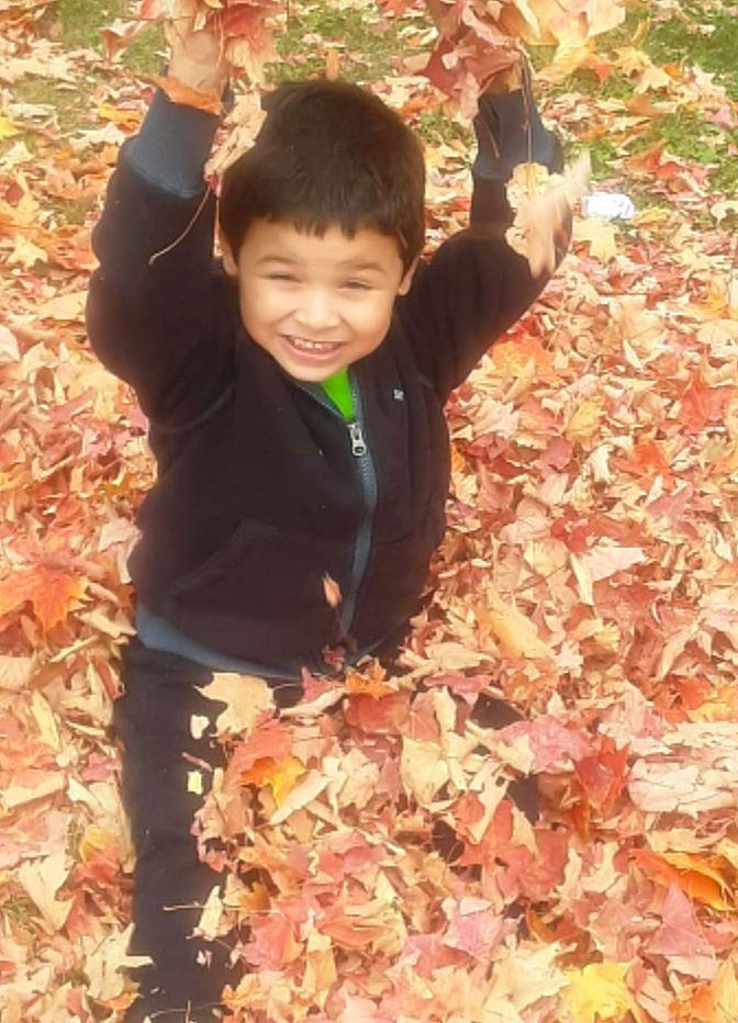 Jayden joined the competition — help win amazing prizes! autumn, baby_toddler_clothing, child, deciduous, gesture, grass, groundcover, happy, hoodie, joy, leaf, northern_hardwood_forest, people_in_nature, person, red, smile, soil, toddler, wood, woodland