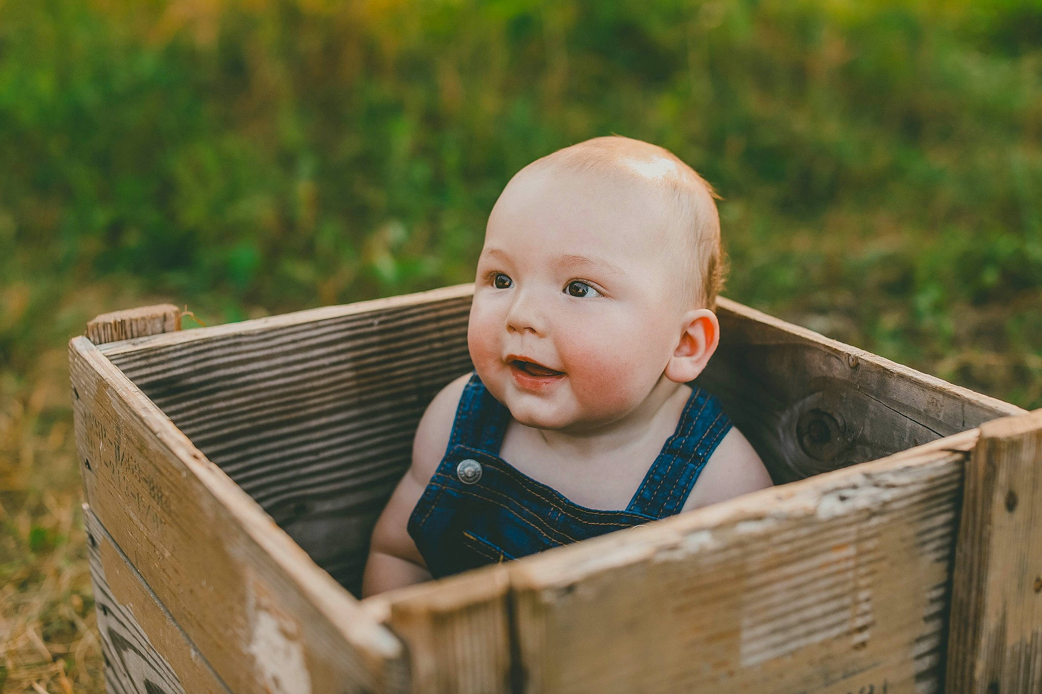 Waylen joined the competition — help win amazing prizes! baby, baby_products, baby_safety, baby_toddler_clothing, cheek, child, face, grass, grass_family, happy, head, infant_bed, leisure, people_in_nature, person, plant, sitting, smile, toddler, tree