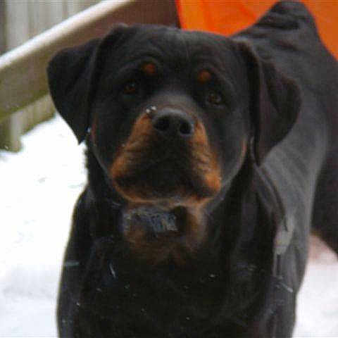 Bella is registered to the contest to win money with this photo: