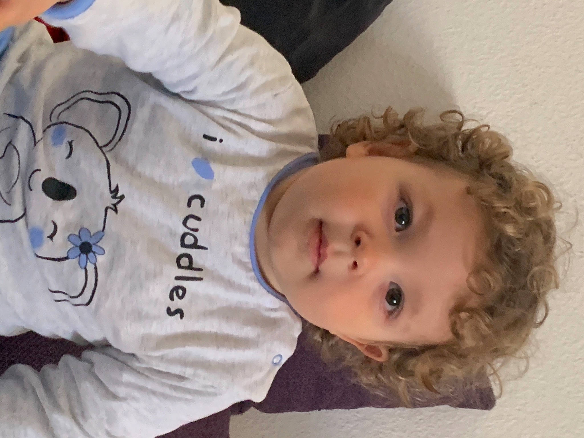 Rodrigo a rejoint le concours — aidez-le/la à gagner de superbes lots ! baby_toddler_clothing, cheek, child, comfort, eyebrow, eyelash, forehead, fun, fur, lip, mouth, nose, person, ringlet, room, sleeve, t_shirt, textile, toddler, vertebrate