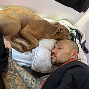 Dyno joined the competition — help win amazing prizes! dog, man, sleeping, tattoo, bed, pillow, resting, indoor, blanket, relaxation, cozy, friendship, pet, animal, human, side_view, casual, comfort, nap, brown_dog