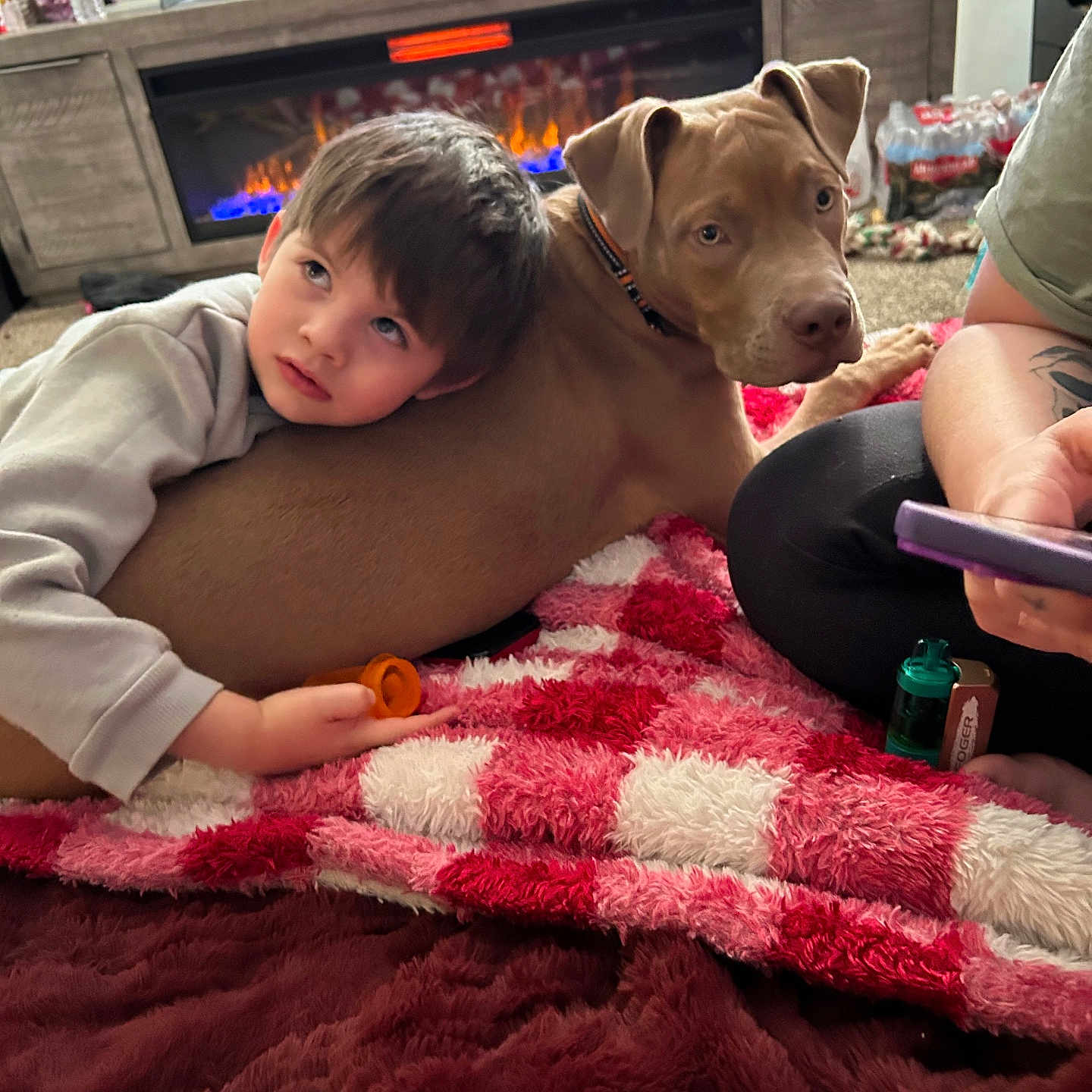 Dyno is registered to the contest to win money with this photo: blanket, brown_dog, carpet, carpeted_floor, casual, child, couch, cozy, dog, fireplace, hand, home, indoor, person, phone, relaxed, tattoo, television, toy, warm_lighting