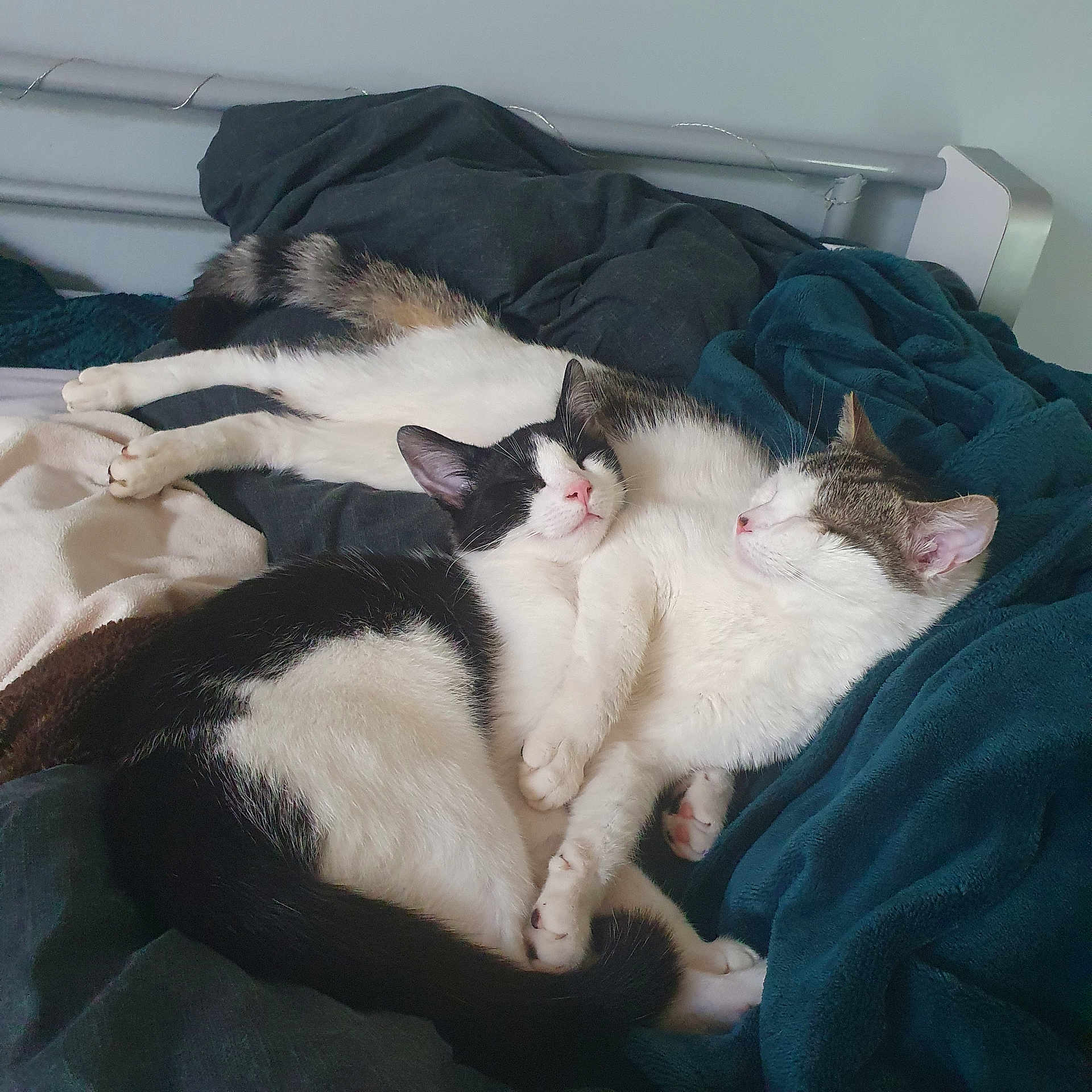 Kira Et Cléo
