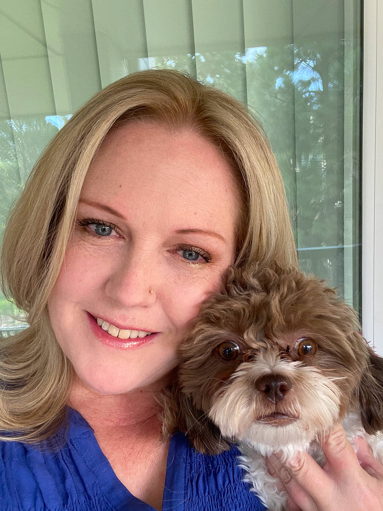 Raisin is registered to the contest to win money with this photo: carnivore, companion_dog, dog, dog_breed, ear, eyebrow, face, fawn, hair, hairstyle, happy, iris, liver, nose, organ, shih_tzu, skin, smile, toy_dog, working_animal