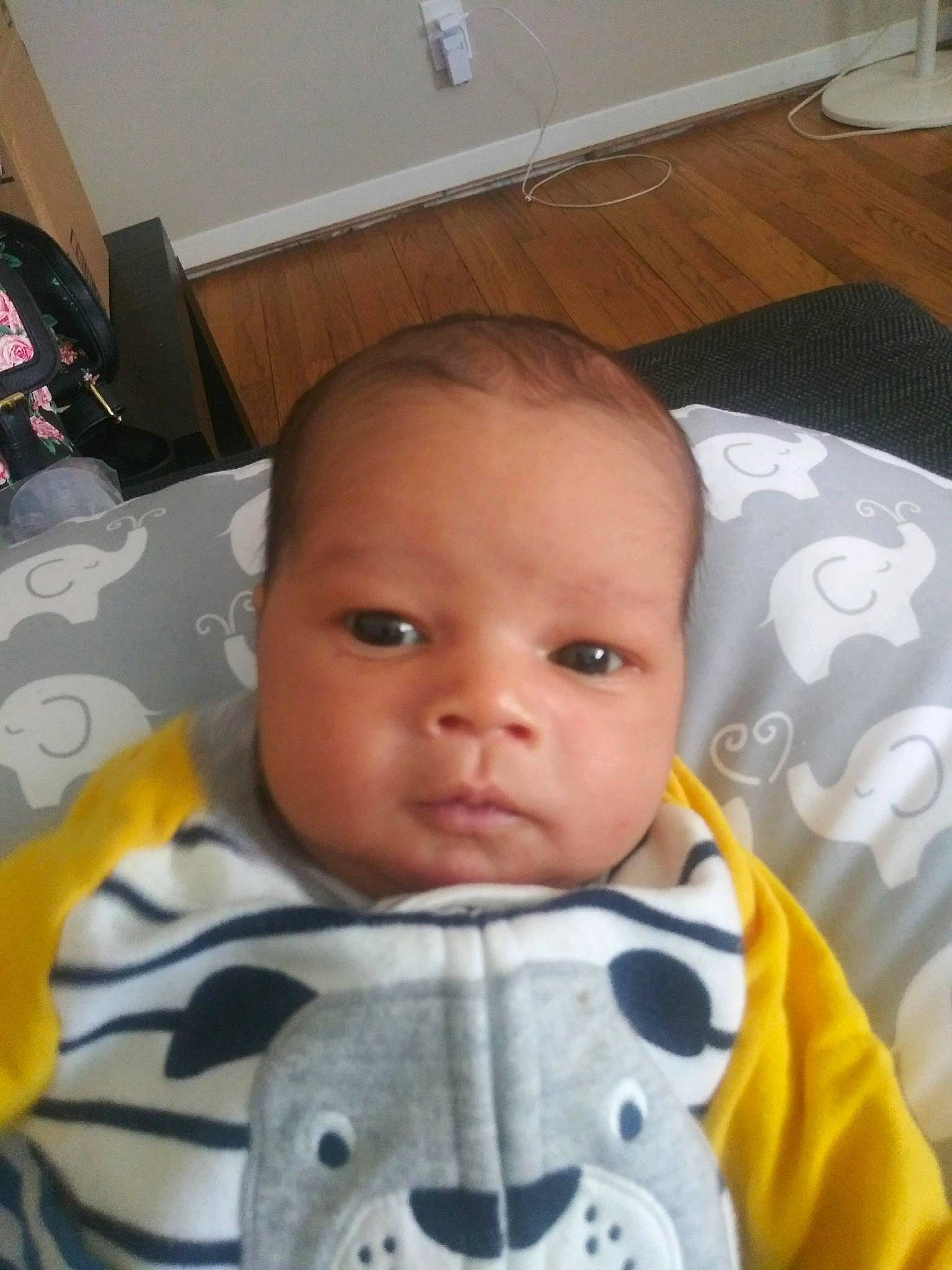 Royce joined the competition — help win amazing prizes! baby, cheek, child, eye, face, forehead, head, mouth, nose, person, skin, toddler