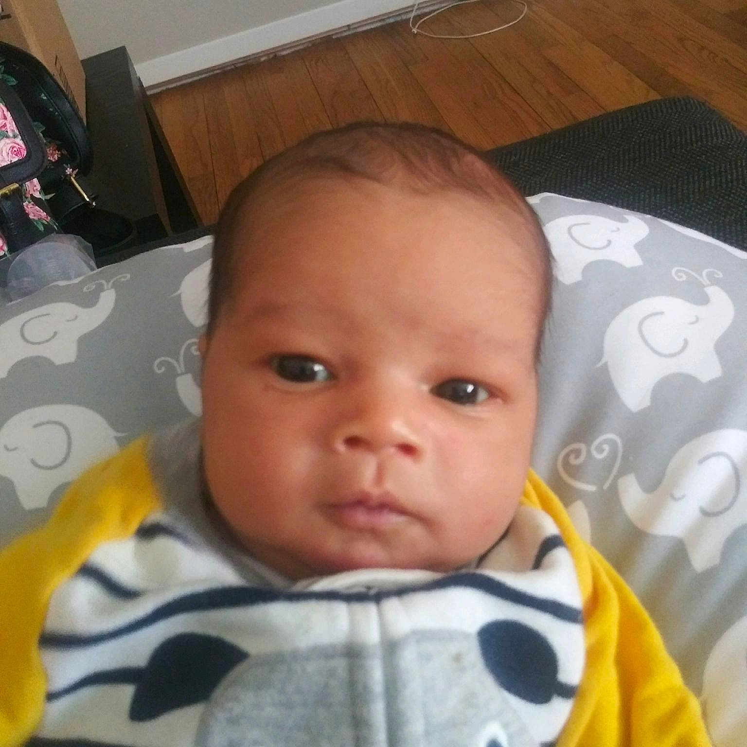 Royce joined the competition — help win amazing prizes! baby, cheek, child, eye, face, forehead, head, mouth, nose, person, skin, toddler