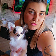 Daisy Crocrotte a rejoint le concours — aidez-le/la à gagner de superbes lots ! woman, dog, chihuahua, tattoo, living_room, television, table, plant, shelf, black_top, long_hair, portrait, pet, indoor, smiling, cute, small_dog, holding, face, casual
