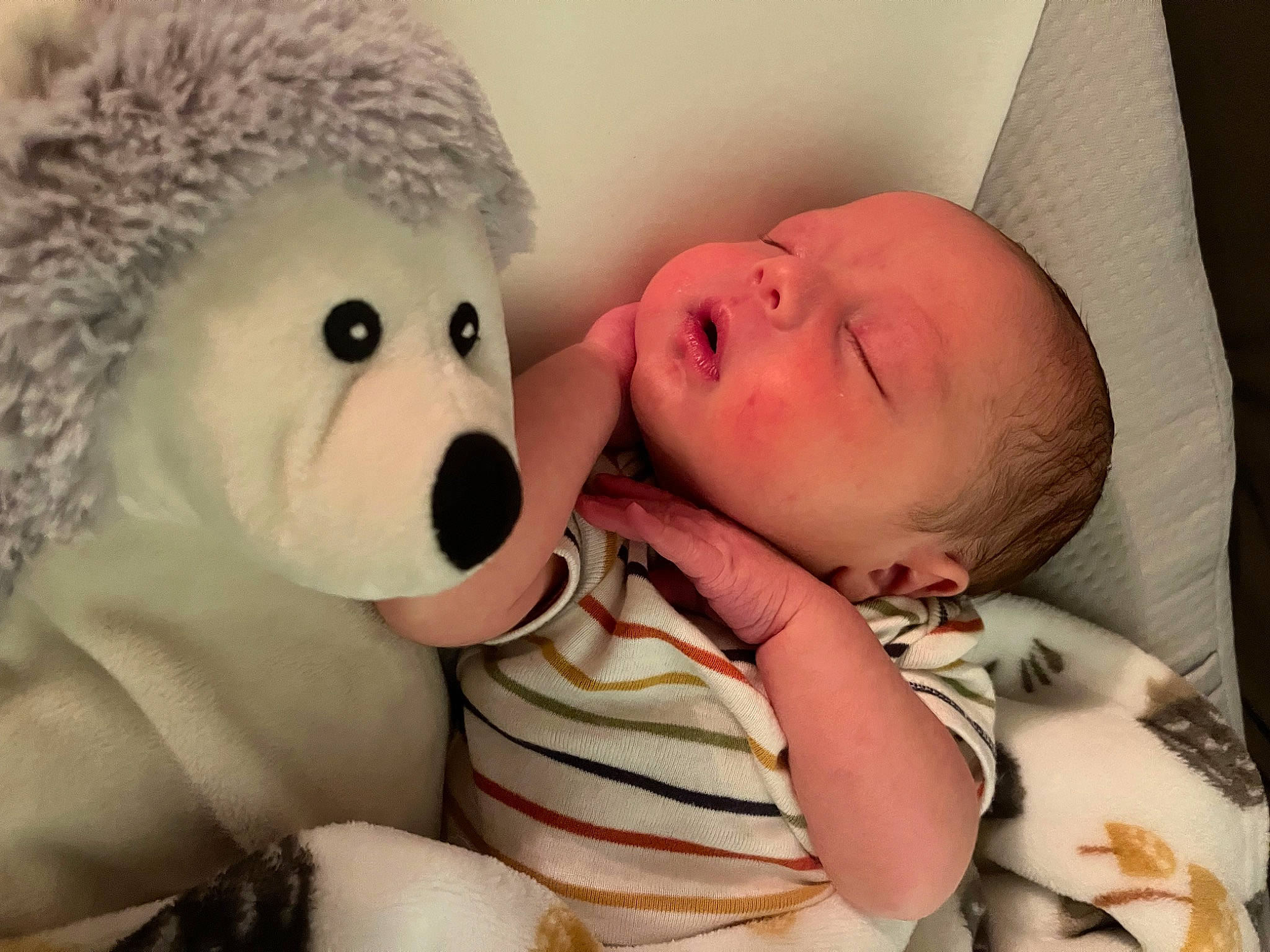 Daxton is registered to the contest to win money with this photo: baby, baby_sleeping, cheek, child, comfort, ear, eyelash, face, gesture, happy, head, lip, mouth, nose, organ, person, skin, snout, stuffed_toy, toddler